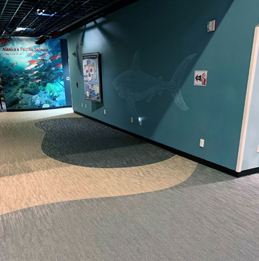 Image of Aquarium Corridor